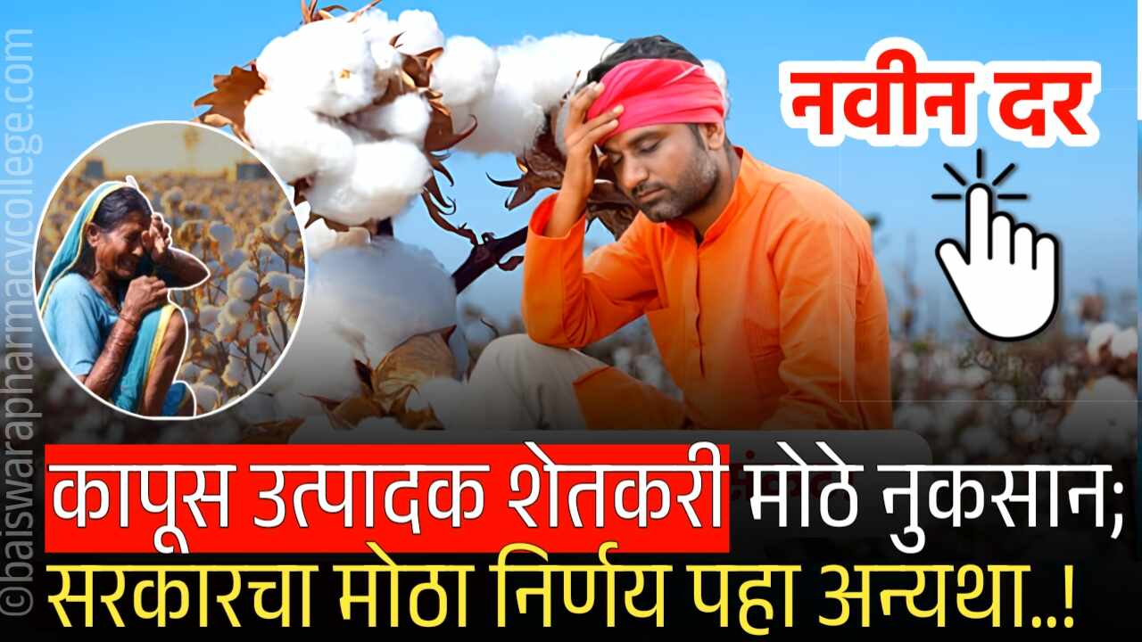 कापूस उत्पादक शेतकरी मोठे नुकसान होणार; सरकारचा मोठा निर्णय पहा अन्यथा..! Cotton Rate
