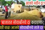 सोयाबीनच्या दरात मोठे बदल; यावर्षी भाव कसे राहणार? पहा Soyabean Rate