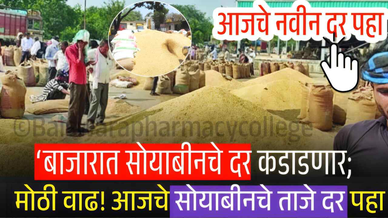 सोयाबीनच्या दरात मोठे बदल; यावर्षी भाव कसे राहणार? पहा Soyabean Rate